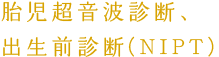 胎児超音波診断、出生前検査（NIPT）